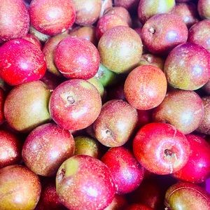 Meet your Posher, Azucena